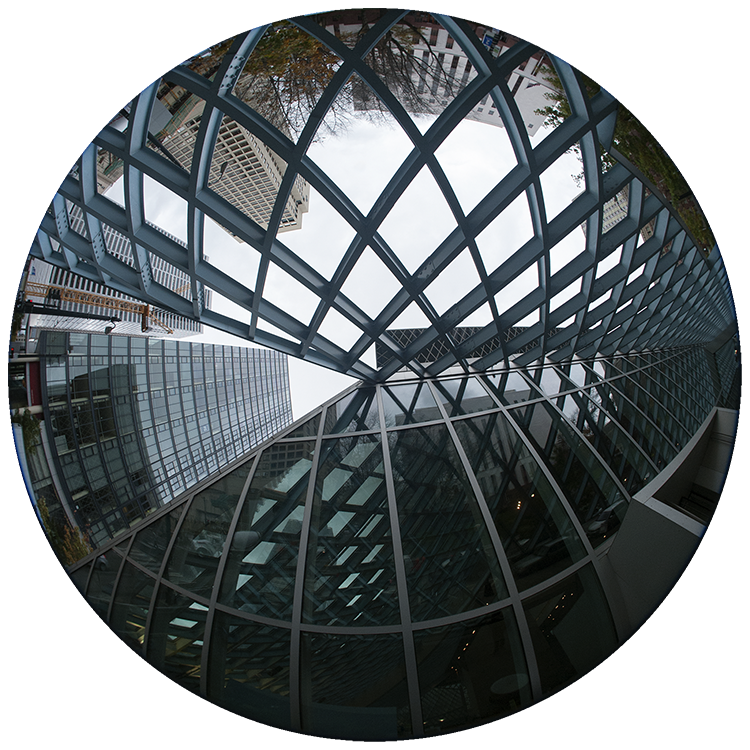 Library Image